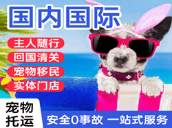 沈阳桃仙机场物流国际宠物托运 【国